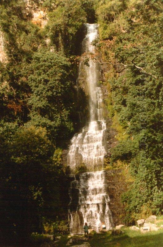 Bridal Veil Falls cascading down a rock face in a delicate fan, surrounded by forest near Chimanimani village