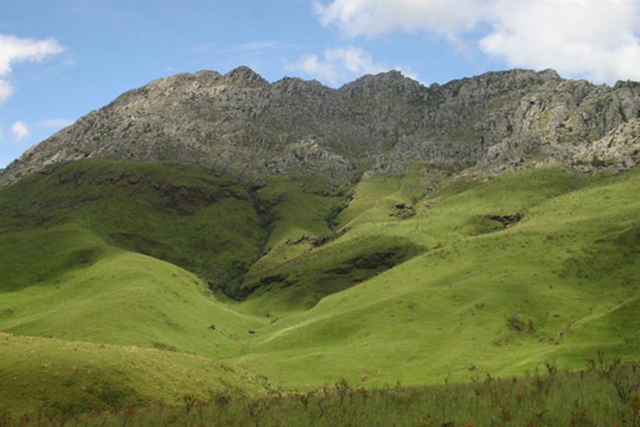 Jagged quartzite peaks of the Chimanimani Mountains rising above bright green montane grassland